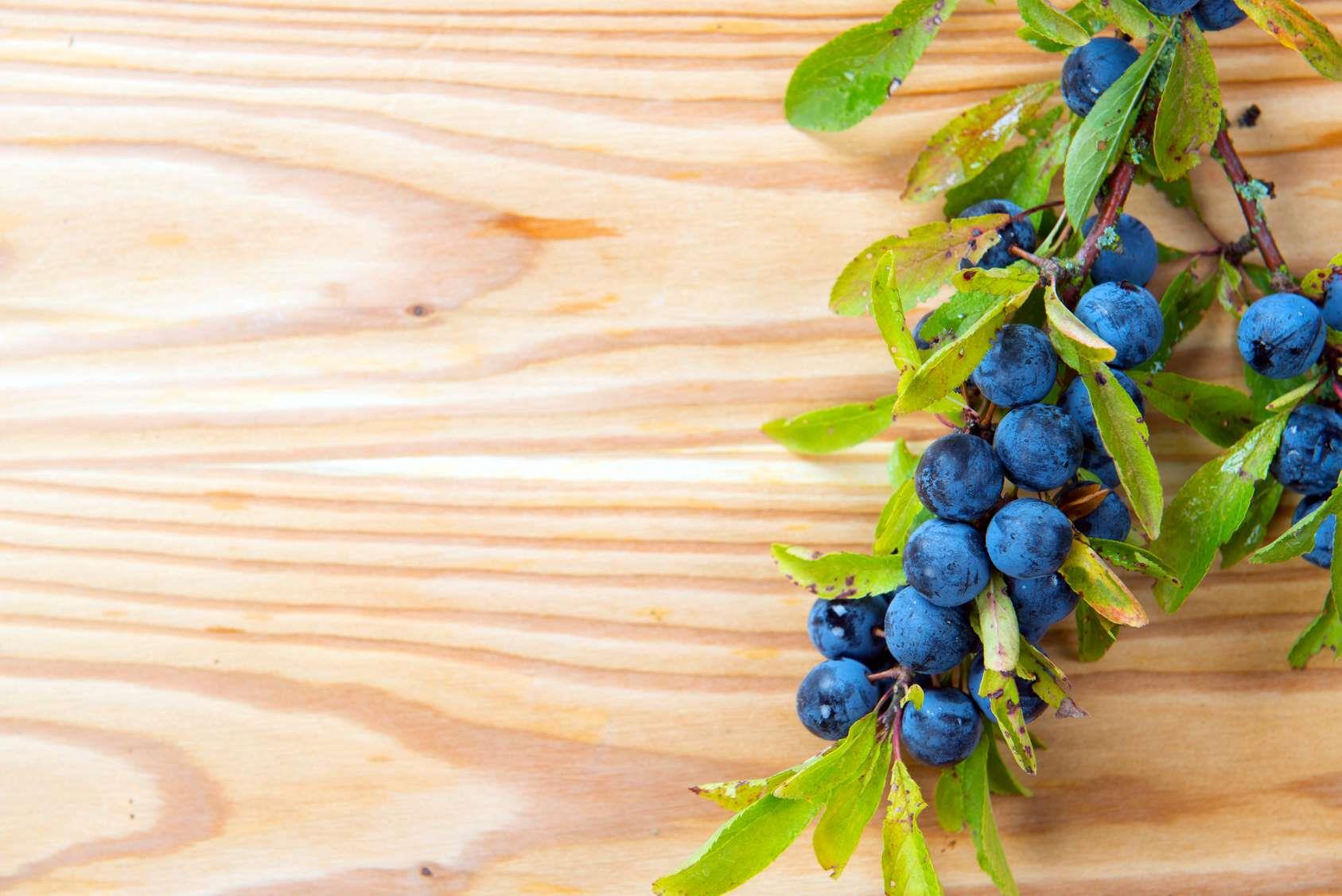 Bio Schlehe-Walnuss Likör – harmonische Kombination aus Schlehe & Walnuss