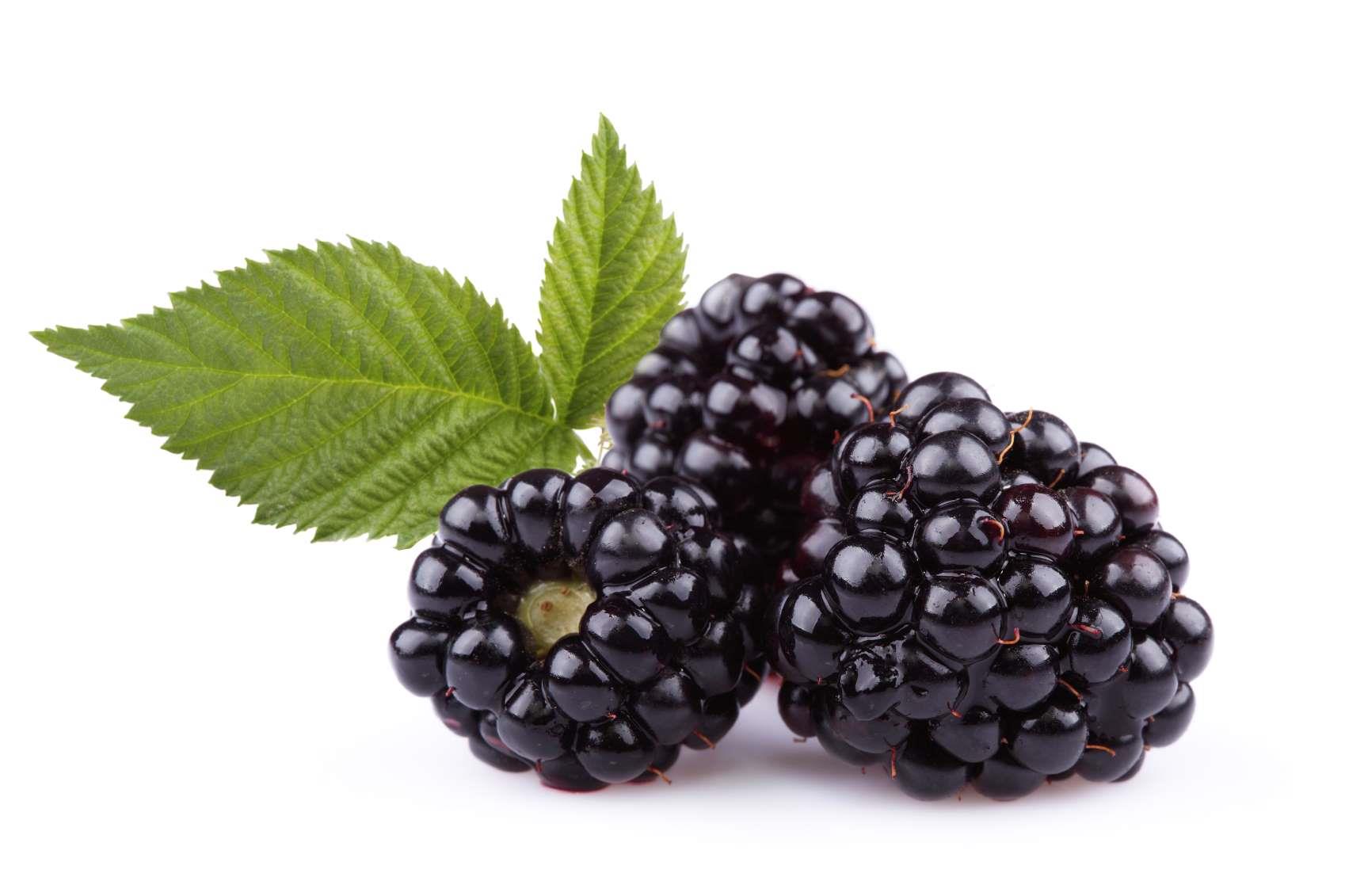 BIO Brombeer Likör 0.1 l, 17 vol%